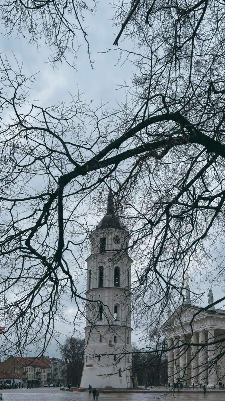 Cathedral Square, Vilnius